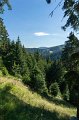 0434Lac vert